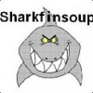 Sharkfinsoup