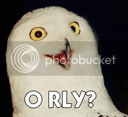 owl_orly.png