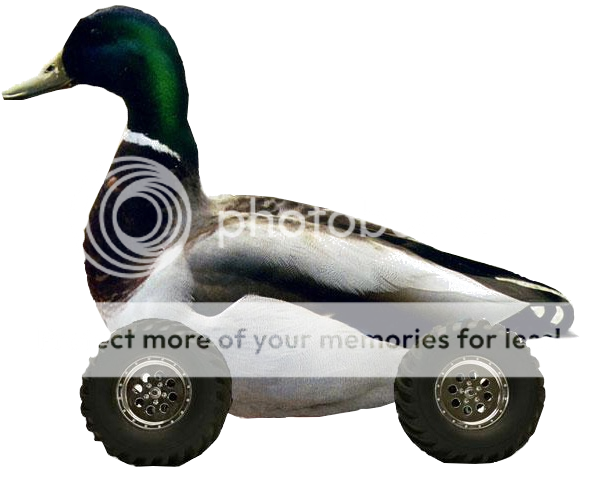 Duckroll.png