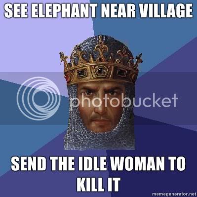 See-elephant-near-village-Send-the-idle-woman-to-kill-it.jpg